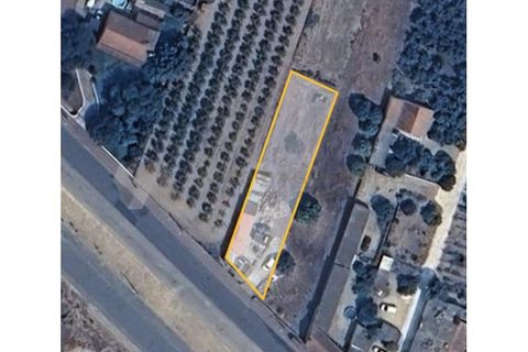 Villa i Almeirim, Santarem, Almeirim - € 116.500 | Ref: CAS_4 - foto 4