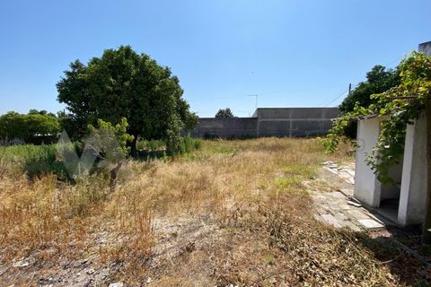 Villa i Almeirim, Santarem, Almeirim - € 116.500 | Ref: CAS_4 - foto 6