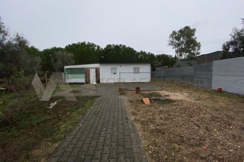 Helårsgrund i Chamusca, Santarem, Chamusca - € 47.500 | Ref: TR_94 - foto 1