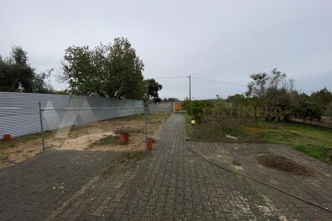 Helårsgrund i Chamusca, Santarem, Chamusca - € 47.500 | Ref: TR_94 - foto 21