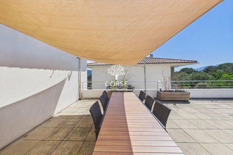 Lejlighed i Porto-Vecchio, Corse-du-Sud, Porto-Vecchio - € 365.000 | Ref: A3071 - foto 13
