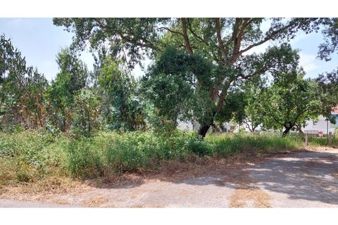 Helårsgrund i Monte Real, Leiria, Monte Real - € 50.000 | Ref: mg1798 - foto 1