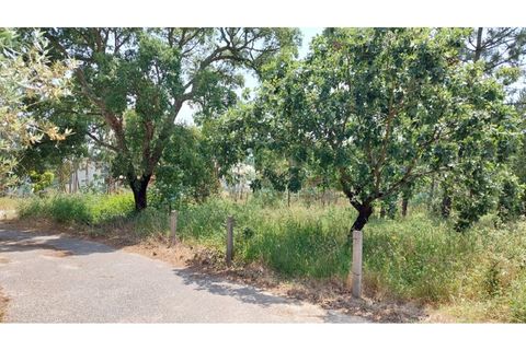Helårsgrund i Monte Real, Leiria, Monte Real - € 50.000 | Ref: mg1798 - foto 2