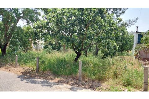 Helårsgrund i Monte Real, Leiria, Monte Real - € 50.000 | Ref: mg1798 - foto 3