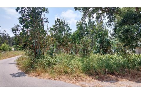 Helårsgrund i Monte Real, Leiria, Monte Real - € 50.000 | Ref: mg1798 - foto 4