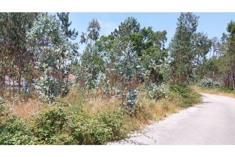 Helårsgrund i Monte Real, Leiria, Monte Real - € 50.000 | Ref: mg1798 - foto 5