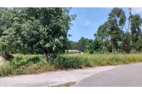 Helårsgrund i Monte Real, Leiria, Monte Real - € 50.000 | Ref: mg1798 - foto 6