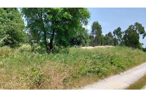 Helårsgrund i Monte Real, Leiria, Monte Real - € 50.000 | Ref: mg1798 - foto 7