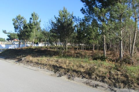 Helårsgrund i Monte Real, Leiria, Monte Real - € 330.000 | Ref: mg1741-5 - foto 1