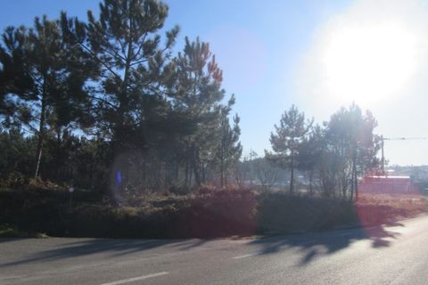 Helårsgrund i Monte Real, Leiria, Monte Real - € 330.000 | Ref: mg1741-5 - foto 3