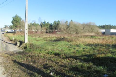 Helårsgrund i Monte Real, Leiria, Monte Real - € 330.000 | Ref: mg1741-5 - foto 4