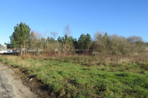 Helårsgrund i Monte Real, Leiria, Monte Real - € 330.000 | Ref: mg1741-5 - foto 5