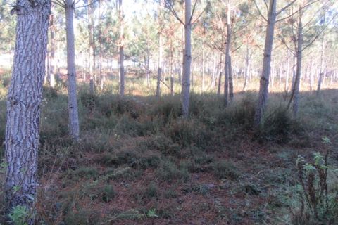 Helårsgrund i Monte Real, Leiria, Monte Real - € 330.000 | Ref: mg1741-5 - foto 6