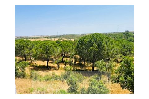 Gård i Ourique, Beja, Ourique - € 1 180 000 | Ref: MAS_78 - foto 30
