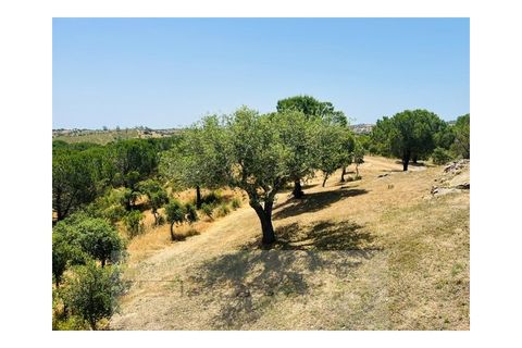 Gård i Ourique, Beja, Ourique - € 1 180 000 | Ref: MAS_78 - foto 31