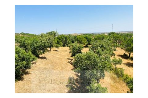 Gård i Ourique, Beja, Ourique - € 1 180 000 | Ref: MAS_78 - foto 32