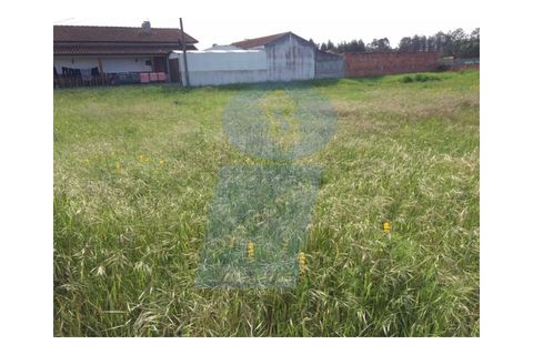 Helårsgrund i Vagos, Aveiro, Vagos - € 50.000 | Ref: TER_607 - foto 2