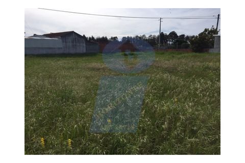 Helårsgrund i Vagos, Aveiro, Vagos - € 50.000 | Ref: TER_607 - foto 3