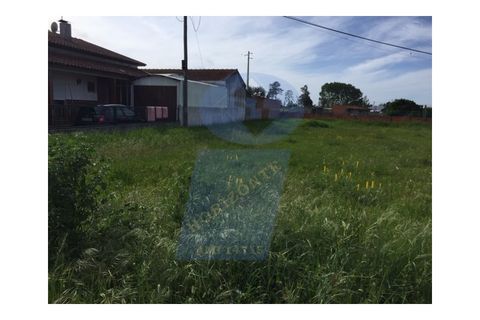 Helårsgrund i Vagos, Aveiro, Vagos - € 50.000 | Ref: TER_607 - foto 4