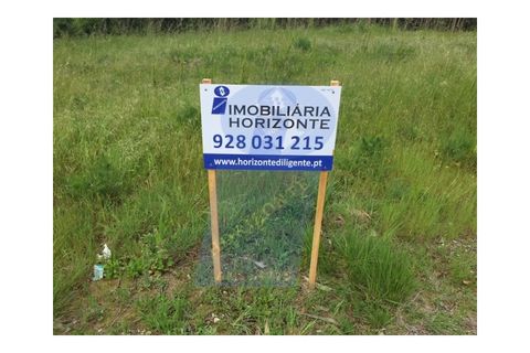 Helårsgrund i Vagos, Aveiro, Vagos - € 50.000 | Ref: TER_607 - foto 5