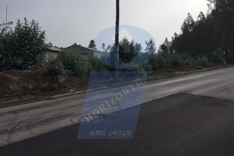 Tomt i Oliveira do Bairro, Aveiro, Oliveira do Bairro - € 25 000 | Ref: TER_433 - foto 2