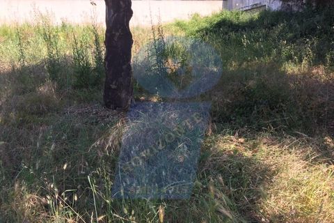 Helårsgrund i Agueda, Aveiro, Agueda - € 43.000 | Ref: TER_383 - foto 4
