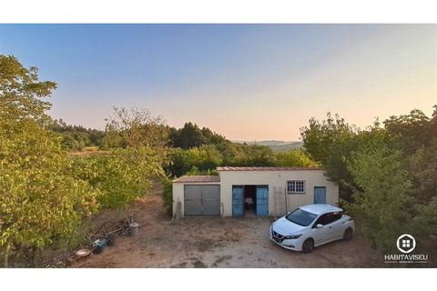 Villa i Viseu, Viseu, Viseu - € 299.000 | Ref: 3334 - foto 42