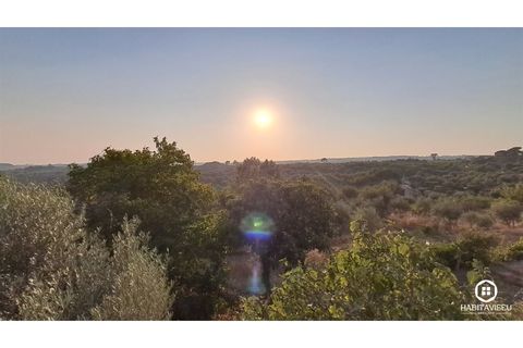 Villa i Viseu, Viseu, Viseu - € 299.000 | Ref: 3334 - foto 45