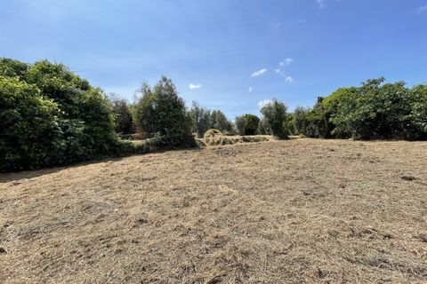Helårsgrund i Viseu, Viseu, Viseu - € 58.000 | Ref: 3319 - foto 4