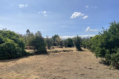 Helårsgrund i Viseu, Viseu, Viseu - € 58.000 | Ref: 3319 - foto 11