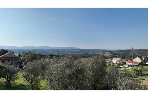 Helårsgrund i Viseu, Viseu, Viseu - € 58.000 | Ref: 3319 - foto 18