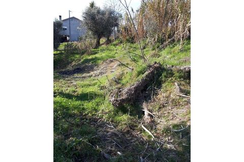 Helårsgrund i Viseu, Viseu, Viseu - € 40.000 | Ref: SÒL_2322 - foto 10