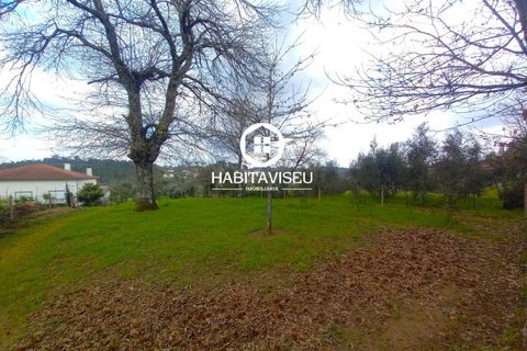 Helårsgrund i Viseu, Viseu, Viseu - € 49.500 | Ref: SÒL_2332 - foto 3