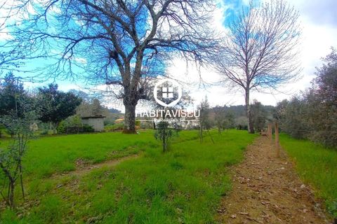 Helårsgrund i Viseu, Viseu, Viseu - € 49.500 | Ref: SÒL_2332 - foto 7