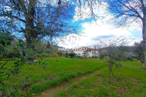 Helårsgrund i Viseu, Viseu, Viseu - € 49.500 | Ref: SÒL_2332 - foto 8