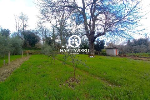 Helårsgrund i Viseu, Viseu, Viseu - € 49.500 | Ref: SÒL_2332 - foto 9