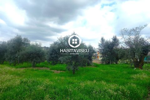Helårsgrund i Viseu, Viseu, Viseu - € 49.500 | Ref: SÒL_2332 - foto 11