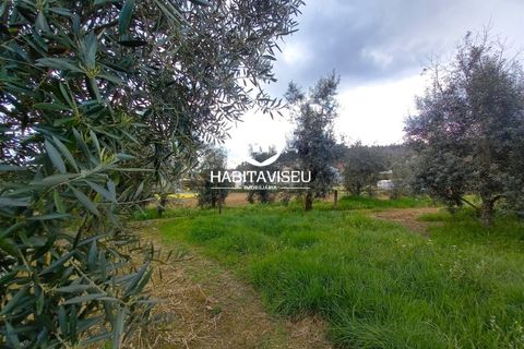 Helårsgrund i Viseu, Viseu, Viseu - € 49.500 | Ref: SÒL_2332 - foto 14