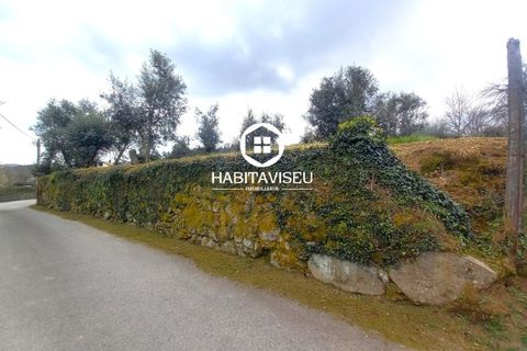 Helårsgrund i Viseu, Viseu, Viseu - € 49.500 | Ref: SÒL_2332 - foto 16