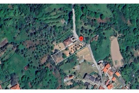 Helårsgrund i Viseu, Viseu, Viseu - € 49.500 | Ref: SÒL_2332 - foto 17