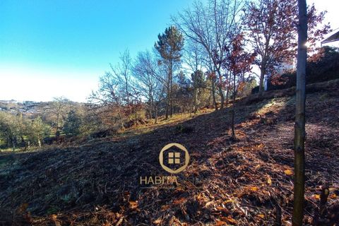 Helårsgrund i Viseu, Viseu, Viseu - € 98.500 | Ref: SÒL_2329 - foto 8