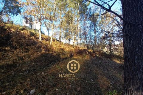 Helårsgrund i Viseu, Viseu, Viseu - € 98.500 | Ref: SÒL_2329 - foto 10