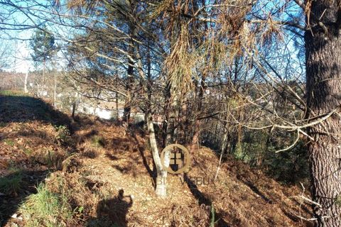 Helårsgrund i Viseu, Viseu, Viseu - € 98.500 | Ref: SÒL_2329 - foto 13