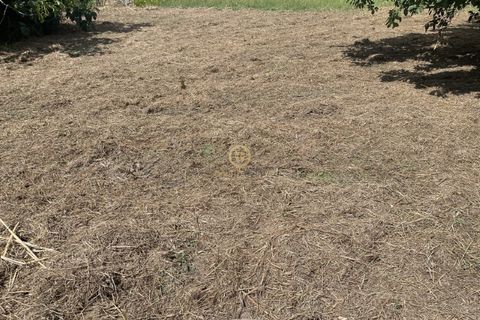 Helårsgrund i Viseu, Viseu, Viseu - € 58.000 | Ref: SÒL_2319 - foto 9