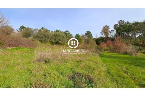 Helårsgrund i Fragosela, Viseu, Fragosela - € 115.000 | Ref: SÒL_2315 - foto 7