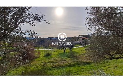 Helårsgrund i Fragosela, Viseu, Fragosela - € 115.000 | Ref: SÒL_2315 - foto 10