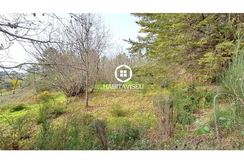 Helårsgrund i Fragosela, Viseu, Fragosela - € 115.000 | Ref: SÒL_2315 - foto 11