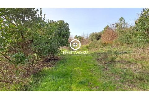 Helårsgrund i Fragosela, Viseu, Fragosela - € 115.000 | Ref: SÒL_2315 - foto 14