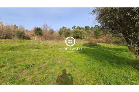 Helårsgrund i Fragosela, Viseu, Fragosela - € 115.000 | Ref: SÒL_2315 - foto 17