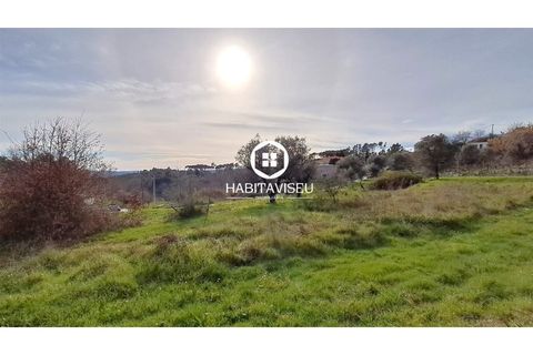 Helårsgrund i Fragosela, Viseu, Fragosela - € 115.000 | Ref: SÒL_2315 - foto 18